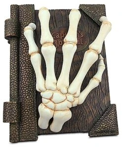 Disney Medium Figure - Captain's Journal Box