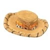 Disney Hair Clip - Woody Hat - Toy Story